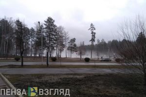 На берегу пруда в Пензенской области нашли мертвого мужчину