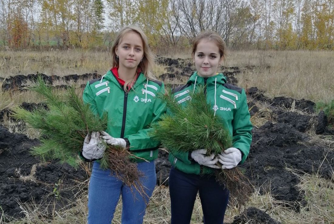 Минлесхоз пензенской. Ахунский лесхоз Пенза. Лесничества Пензенской области. Лесхозы Пензенской области. Ленинский лесхоз.