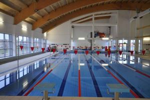 Всероссийские соревнования по прыжкам в воду состоятся в Пензе