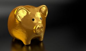 Из-за «корневого» банковского счета пензячка потеряла 145 тысяч рублей