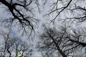Поисковики научат пензенцев искать пропавших людей