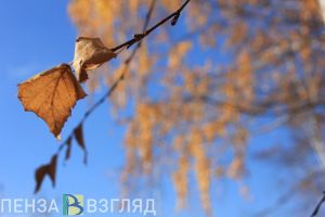 Какая погода ждет пензенцев в последние октябрьские выходные?