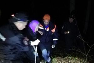 Стали известны подробности поисков жительницы Золотаревки в лесу