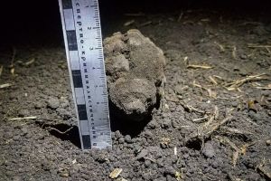 В Пензенской области возле частного дома нашли корпус гранаты