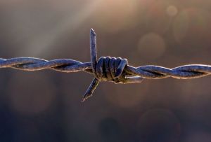 Пензячка, забравшая «закладку» по просьбе подруги, сядет в тюрьму
