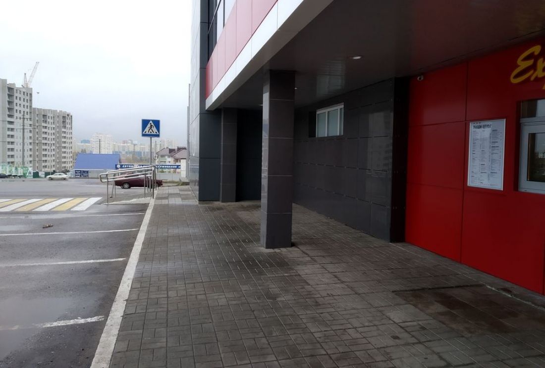 В Пензе на автомобильную парковку подкинули распотрошенного грызуна. Фото