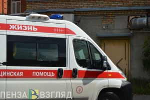 На федеральной трассе под Пензой «ВАЗ» сбил мужчину