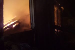 В Пензенской области сгорел шведский дом