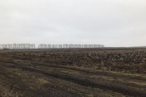 Появились фотографии с места, где нашли тело жителя Городищенского района