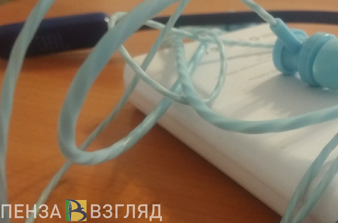Пензячка лишила сельчанку музыкальной техники