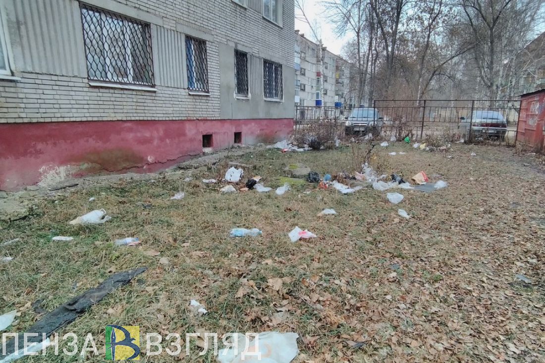 В Пензе в Арбекове мусорка захватывает дом. Фото