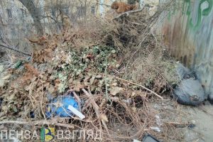 Из пензенских дворов не вывозят спиленные ветки