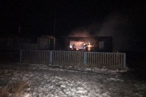 Судмедэксперты установят причину гибели двух человек при пожаре в Пензенской области