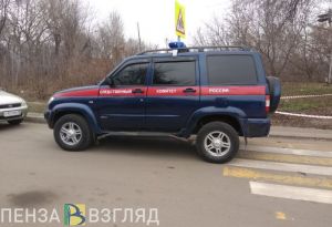 Пензенский Следком проводит проверку по факту смерти 14-летней девочки в Бессоновке