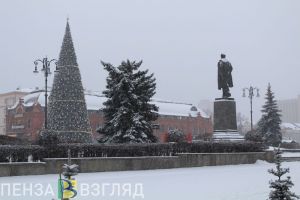 Пензенцы могут «подарить» Новый год бабушкам и дедушкам, живущим в интернате