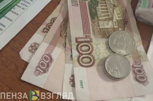 Жительница Шемышейского района простила воровку, оставившую ее без денег