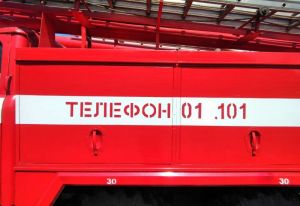 В пензенском МЧС прокомментировали выезд пожарных к ТЦ