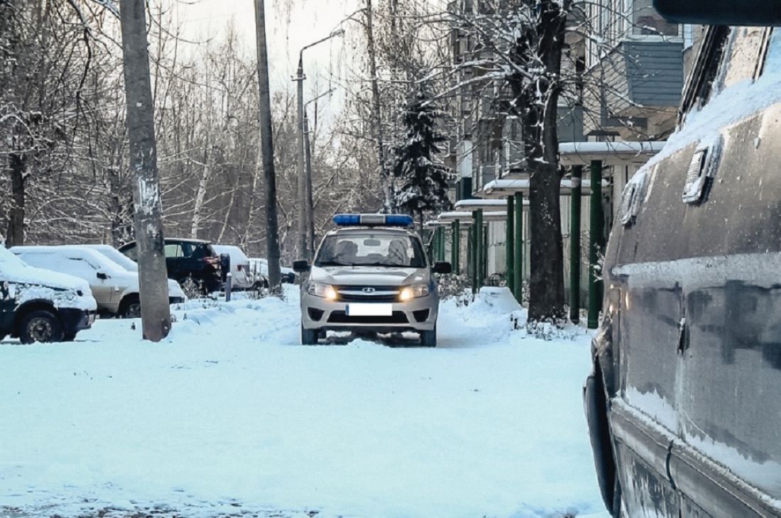 В Пензенской области росгвардейцы задержали пьяного водителя
