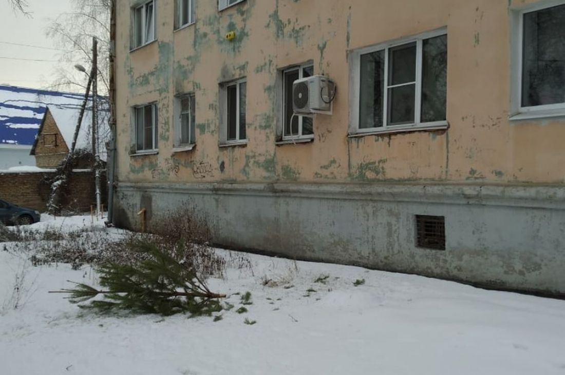 В Пензе из окон полетели новогодние елки