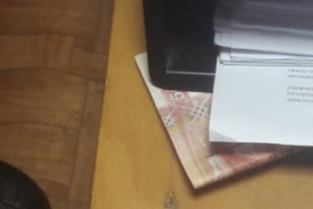В Пензенской области женщина пыталась дать взятку полицейскому, защищая сына