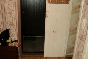 Убийство гостя, красивые даты для свадеб и победа «Дизеля»: новости Пензенской области за 14 января