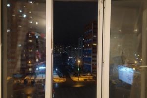 Выпавшие из окна под Пензой папа с дочкой находятся в больнице