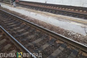 Жуткая авария с поездом и машиной, размер выплаты на детей и зимующие уточки: новости Пензенской области за 20 января