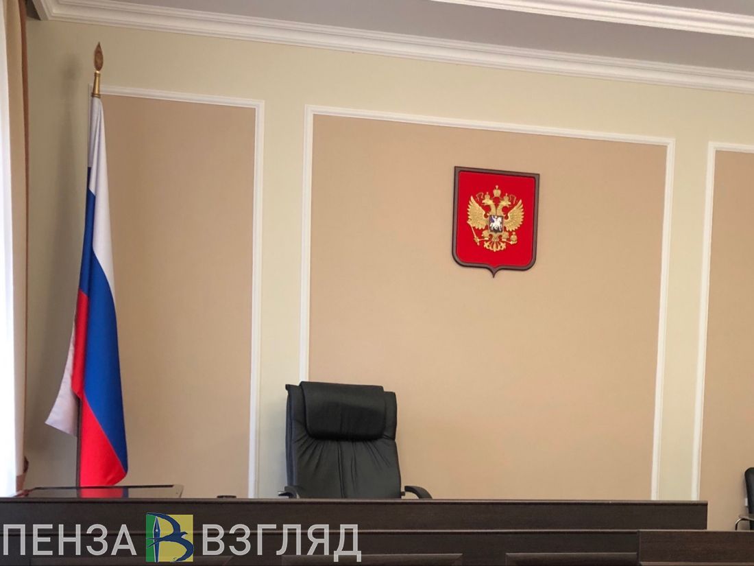 Житель Пензенской области ударил полицейского и отделался штрафом