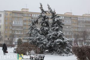 Пензенцев ждут теплые и снежные выходные
