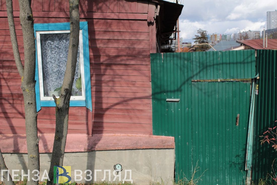 Двое жителей Пензенской области обворовали односельчанина