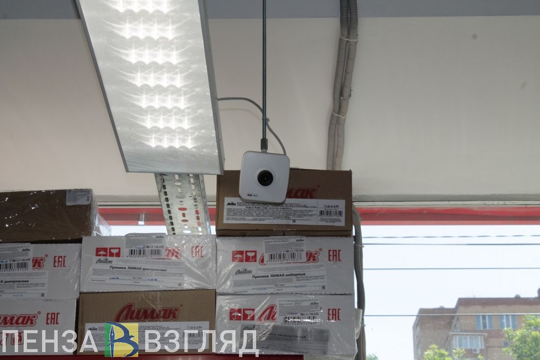 В Пензенской области пенсионер вытащил из магазина терминал сбора данных