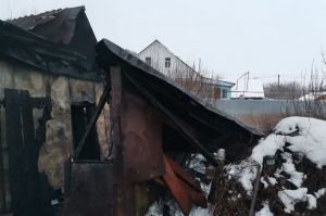 Появились фото и видео с места смертельного пожара в Пачелме
