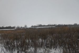 Появились фото с места убийства супружеской парой зареченца