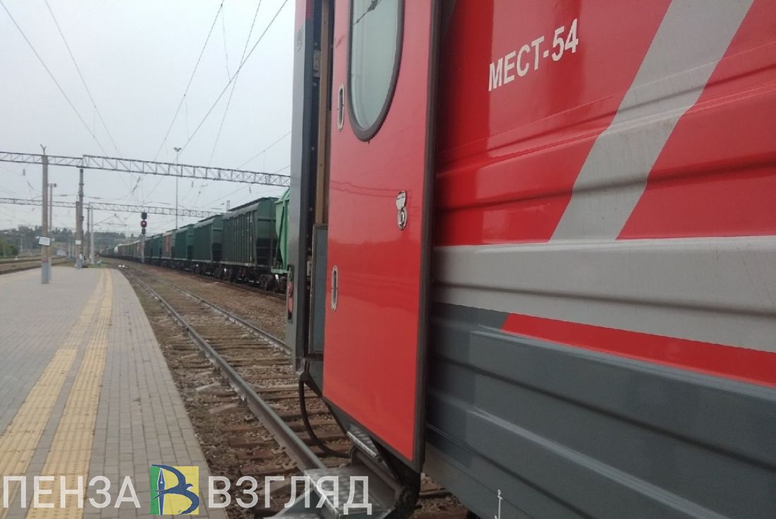 В Пензе в поезде задержали молодого человека с пакетом мефедрона