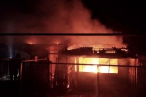 Ночью в Пензенской области у загоревшегося дома обрушилась крыша