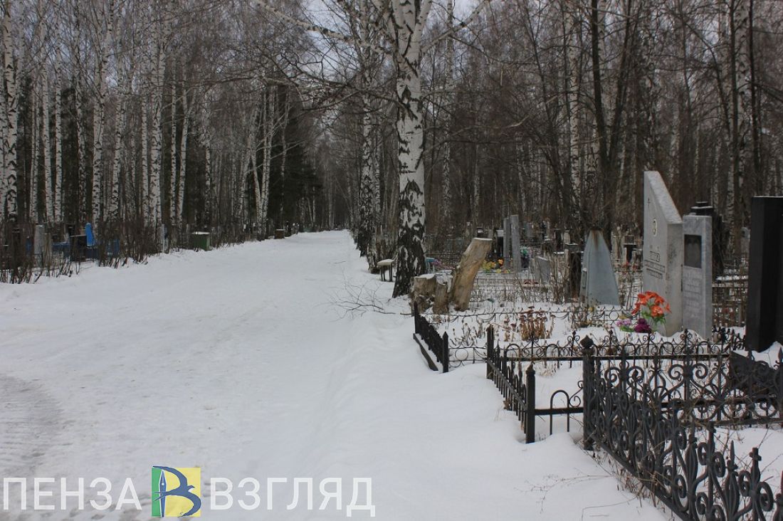 В Колышлее женщина пошла на кладбище и осталась без телефона