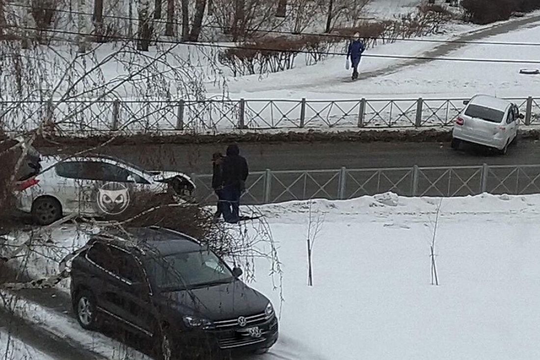 Стоят по разным сторонам. В Пензе две машины врезались в ограждения