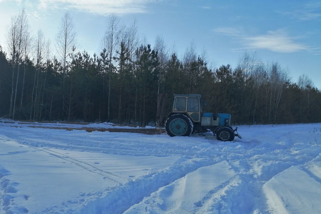 Пензенскому лесхозу нанесен ущерб более чем на 120 тысяч рублей