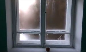 Преображение больничной палаты, смертельный удар и транспортный коллапс: новости за 11 февраля
