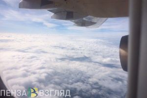 В двигатель самолета при посадке в пензенском аэропорту попала птица