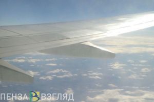 Во время посадки самолета в Пензе в турбину двигателя попала птица