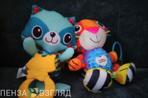 Пензенец потребовал компенсацию за переживания из-за болезни дочери