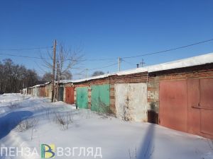Под Пензой обнаружен эпизоотический очаг бешенства