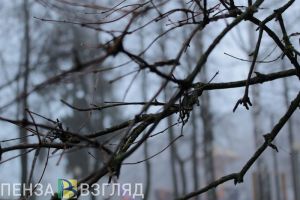 Пензенцев ждут теплые снежные выходные