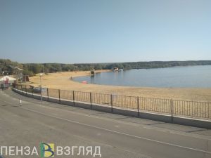 Пензенские полицейские раскрыли кражу на пляже