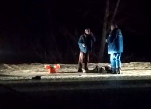 На дороге из Заречного в Пензу автомобиль насмерть сбил пешехода