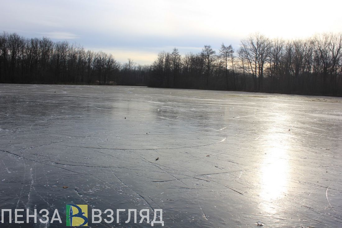 Пензенские спасатели предотвратили трагедию на тонком льду