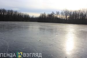 Пензенские спасатели предотвратили трагедию на тонком льду