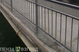 Тело упавшей с моста пензячки доставали спасатели. Фото