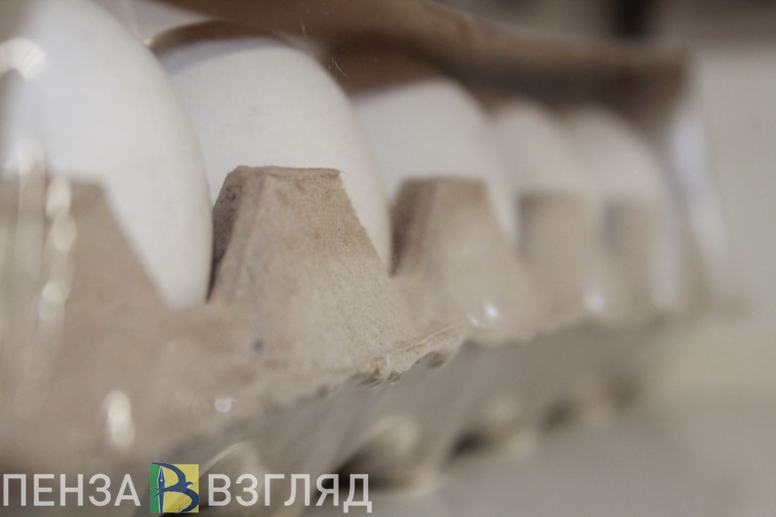 В Пензенской области уничтожили больше сотни подозрительных яиц